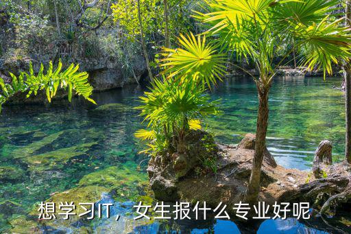 想学习IT，女生报什么专业好呢