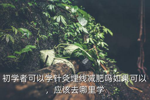 初学者可以学针灸埋线减肥吗如果可以，应该去哪里学