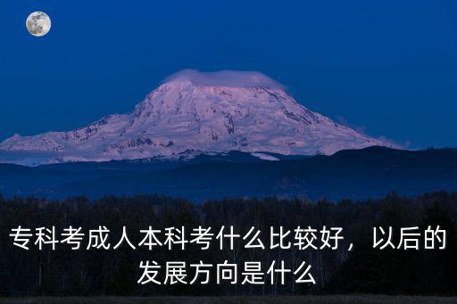 本科考什么比较好,专科考成人本科考什么比较好