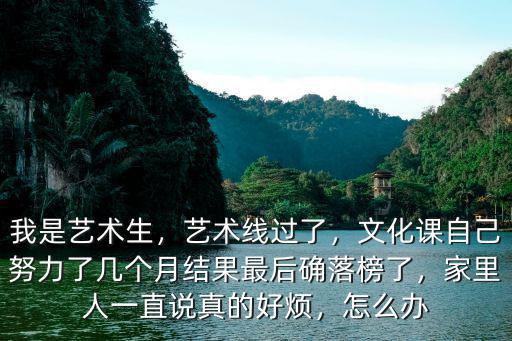我是艺术生，艺术线过了，文化课自己努力了几个月结果最后确落榜了，家里人一直说真的好烦，怎么办