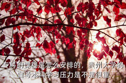 专科的课程是怎么安排的，贵州大学的自考本科学习压力是不是很重