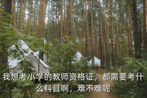 小学资格证需要考什么条件是什么,都需要考什么科目啊