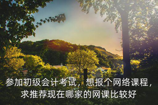 参加初级会计考试，想报个网络课程，求推荐现在哪家的网课比较好