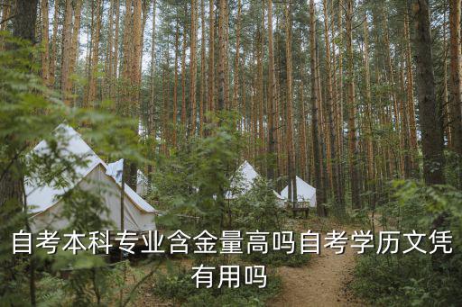 自考本科专业含金量高吗自考学历文凭有用吗