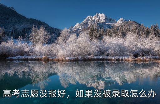 高考志愿没报好，如果没被录取怎么办