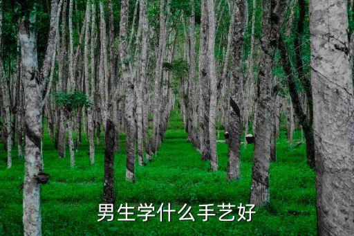 男生学什么手艺好