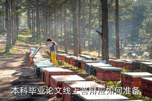 本科毕业论文线上答辩应如何准备