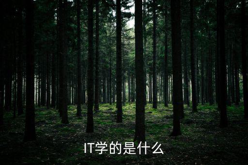 IT学的是什么
