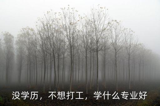 没学历，不想打工，学什么专业好