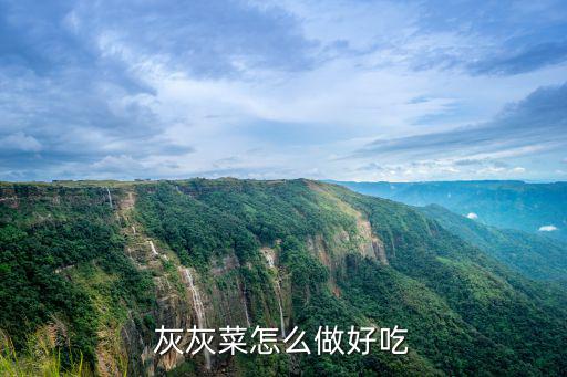 灰灰菜怎么做好吃