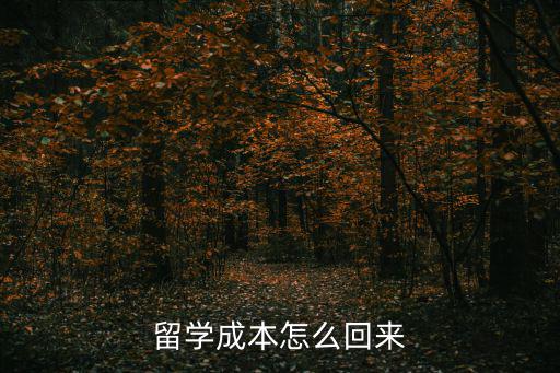 留学成本怎么回来