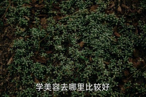 学美容去哪里比较好