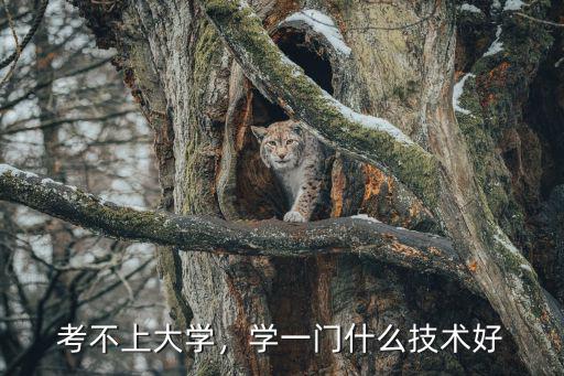 考不上大学，学一门什么技术好
