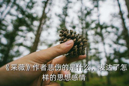 《采薇》作者悲伤的是什么，表达了怎样的思想感情
