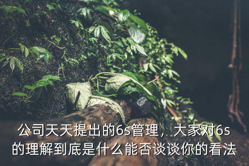 目视管理是6s什么阶段,大家对6s的理解到底是什么