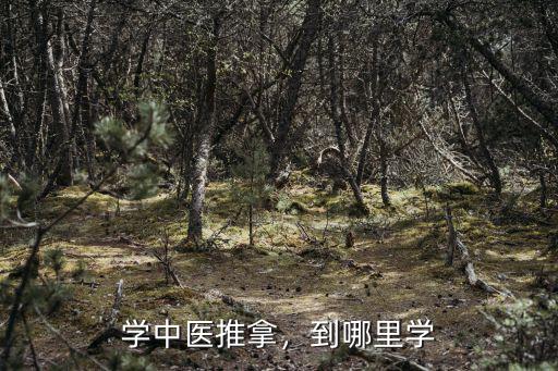 学中医推拿，到哪里学