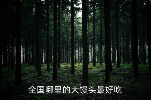 全国哪里的大馒头最好吃