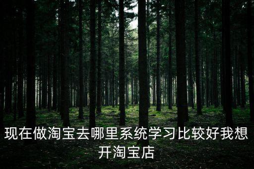 学网店哪里好,现在做网店去哪里学习比较好
