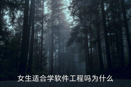 女生适合学软件工程吗为什么