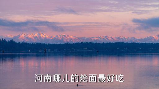 河南哪儿的烩面最好吃