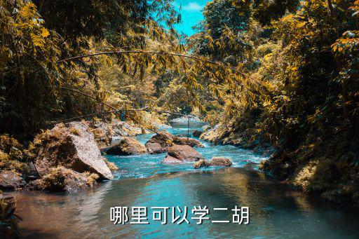 哪里可以学二胡