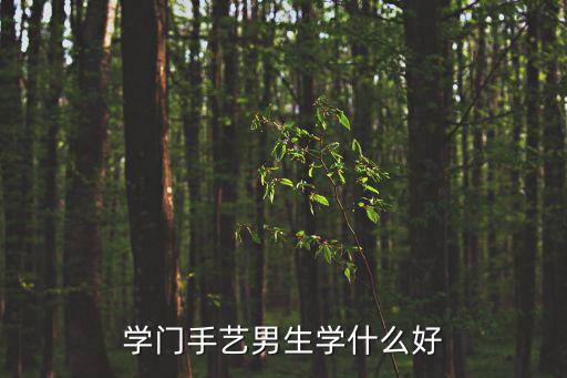 学门手艺男生学什么好
