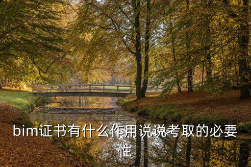 bim证书有什么作用说说考取的必要性