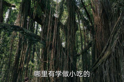 学小吃技术在哪里学,在哪里可以学到