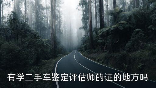 有学二手车鉴定评估师的证的地方吗