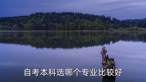 自考本科选哪个专业比较好