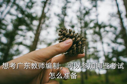 想考广东教师编制，可以参加哪些考试怎么准备