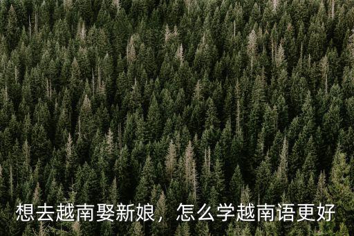 怎么学习越南语,怎么学越南语更好