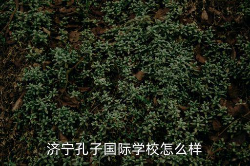 济宁孔子国际学校怎么样