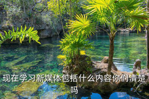 现在学习新媒体包括什么内容你们清楚吗
