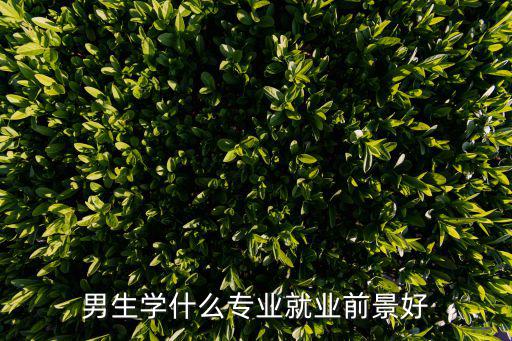 男生学什么专业好一点,男生学什么专业好