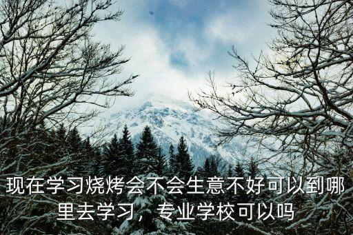 现在学习烧烤会不会生意不好可以到哪里去学习，专业学校可以吗