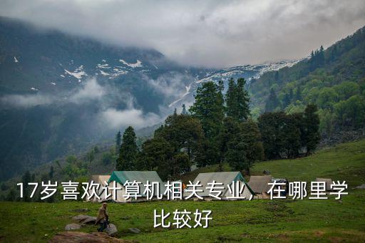 17岁喜欢计算机相关专业，在哪里学比较好