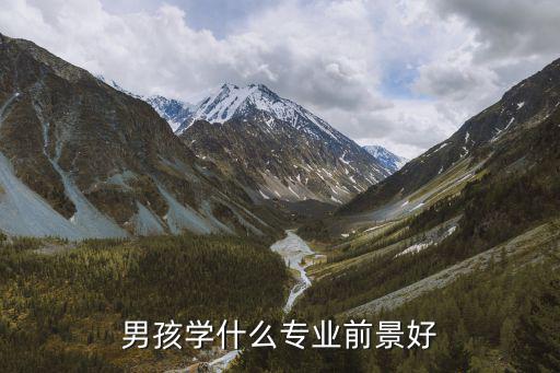 男孩应该学习什么行业,男孩适合学什么专业
