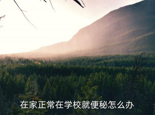 在家正常在学校就便秘怎么办