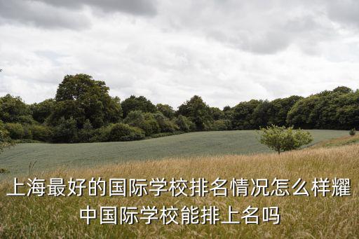 上海最好的国际学校排名情况怎么样耀中国际学校能排上名吗