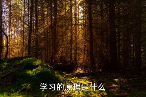 学习的原理是什么