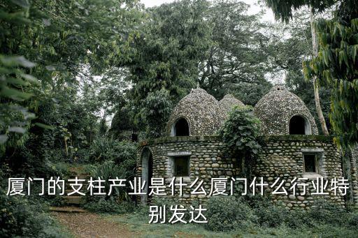 厦门的支柱产业是什么厦门什么行业特别发达