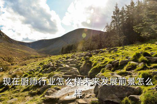 现在厨师行业怎么样未来发展前景怎么样