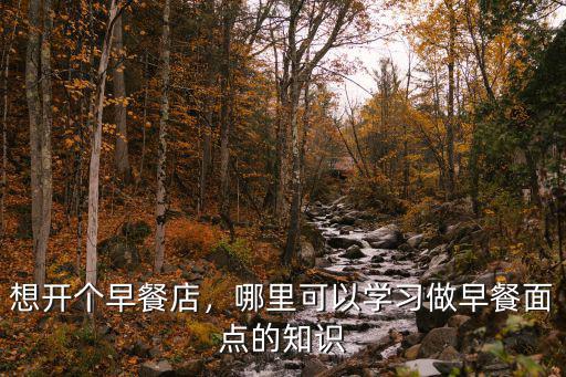 想开个早餐店，哪里可以学习做早餐面点的知识