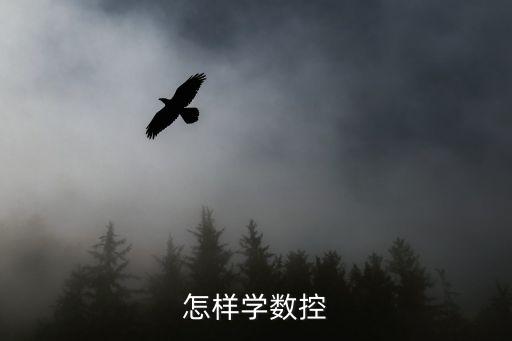 怎样学数控