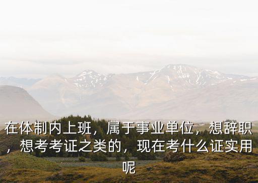在体制内上班，属于事业单位，想辞职，想考考证之类的，现在考什么证实用呢