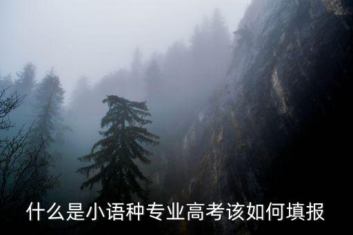 小语种专业属于什么学校,还是211大学里的小语种好