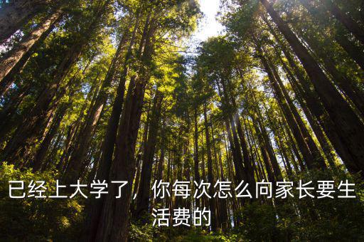 已经上大学了，你每次怎么向家长要生活费的