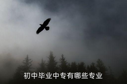 嘉善中专有什么专业,初中毕业中专有哪些专业