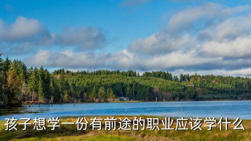 孩子想学一份有前途的职业应该学什么